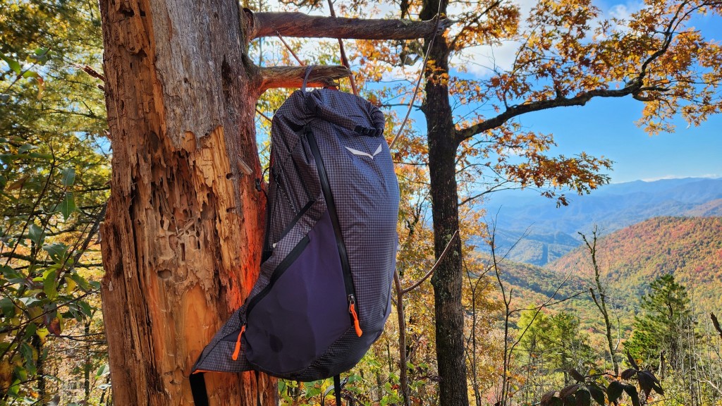 Salewa Pedroc Pro 22L Backpack review from tree