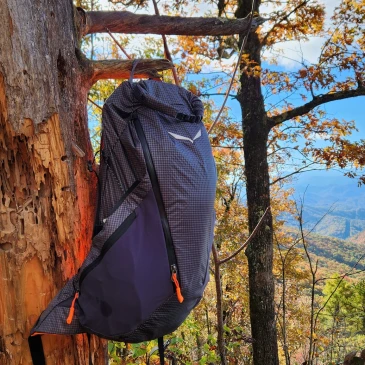 Salewa Pedroc Pro 22L Backpack review from tree